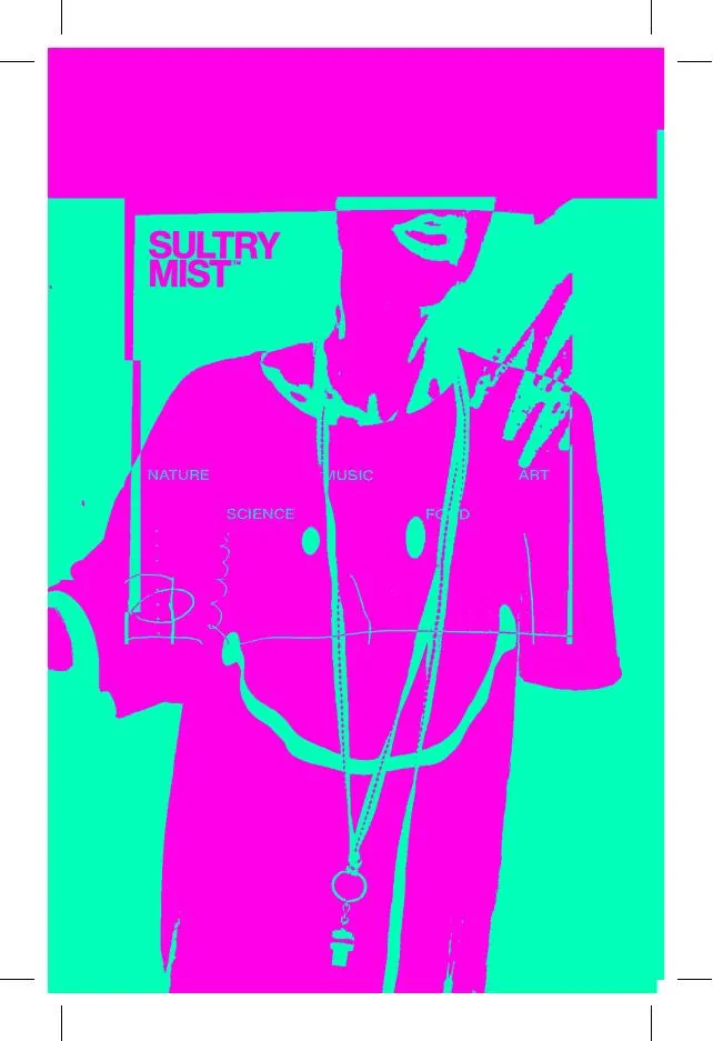 violeta a cores.pdf-1